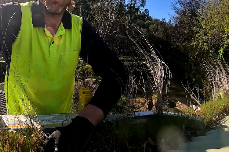 
merimbula gutters unveil a surprise garden, cleaner ready to tackle it.