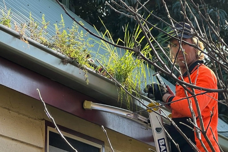 yet another gutter cleaning image taken in the city of merimbula.