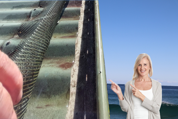 
merimbula Woman`s Excitement Evident After Cleaning Under Gutter Guards